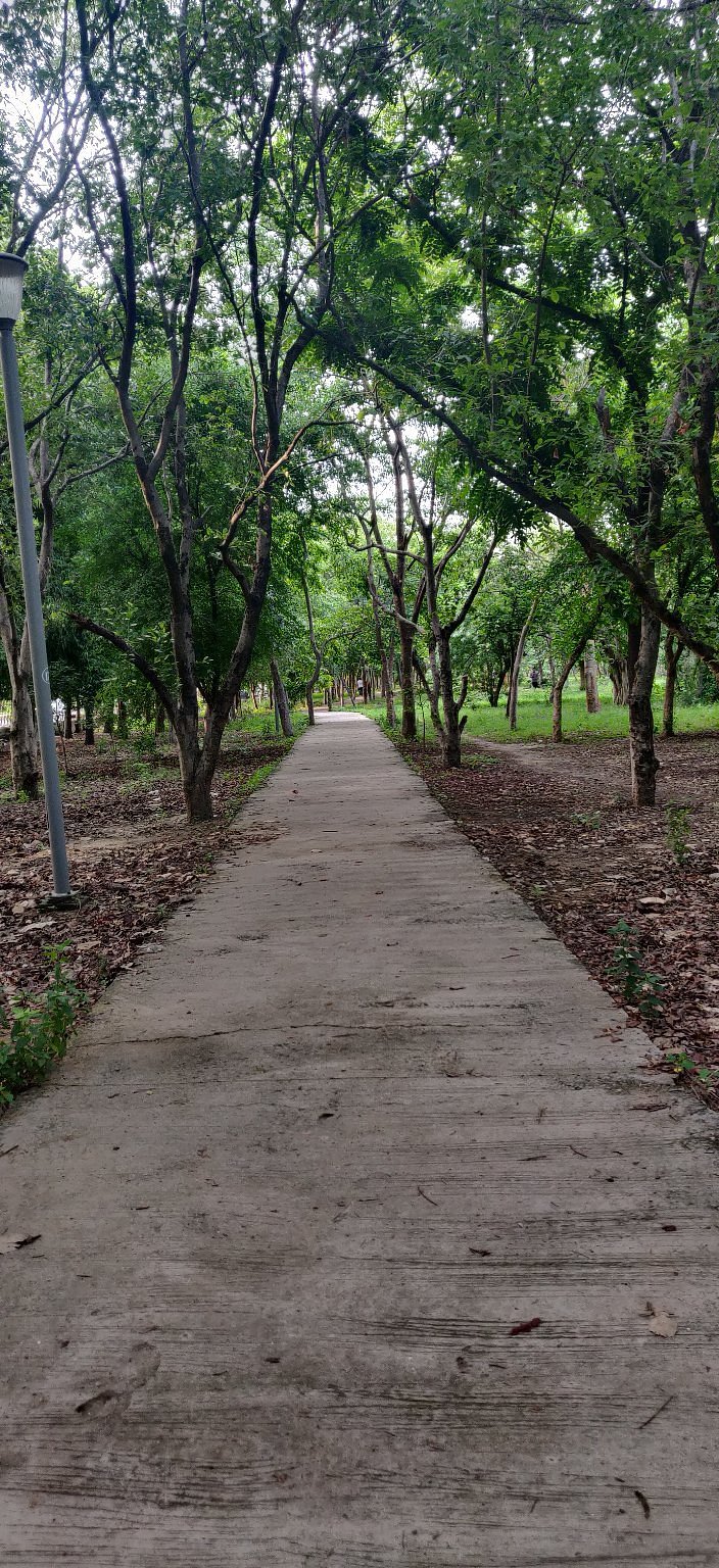 Town Park Faridabad