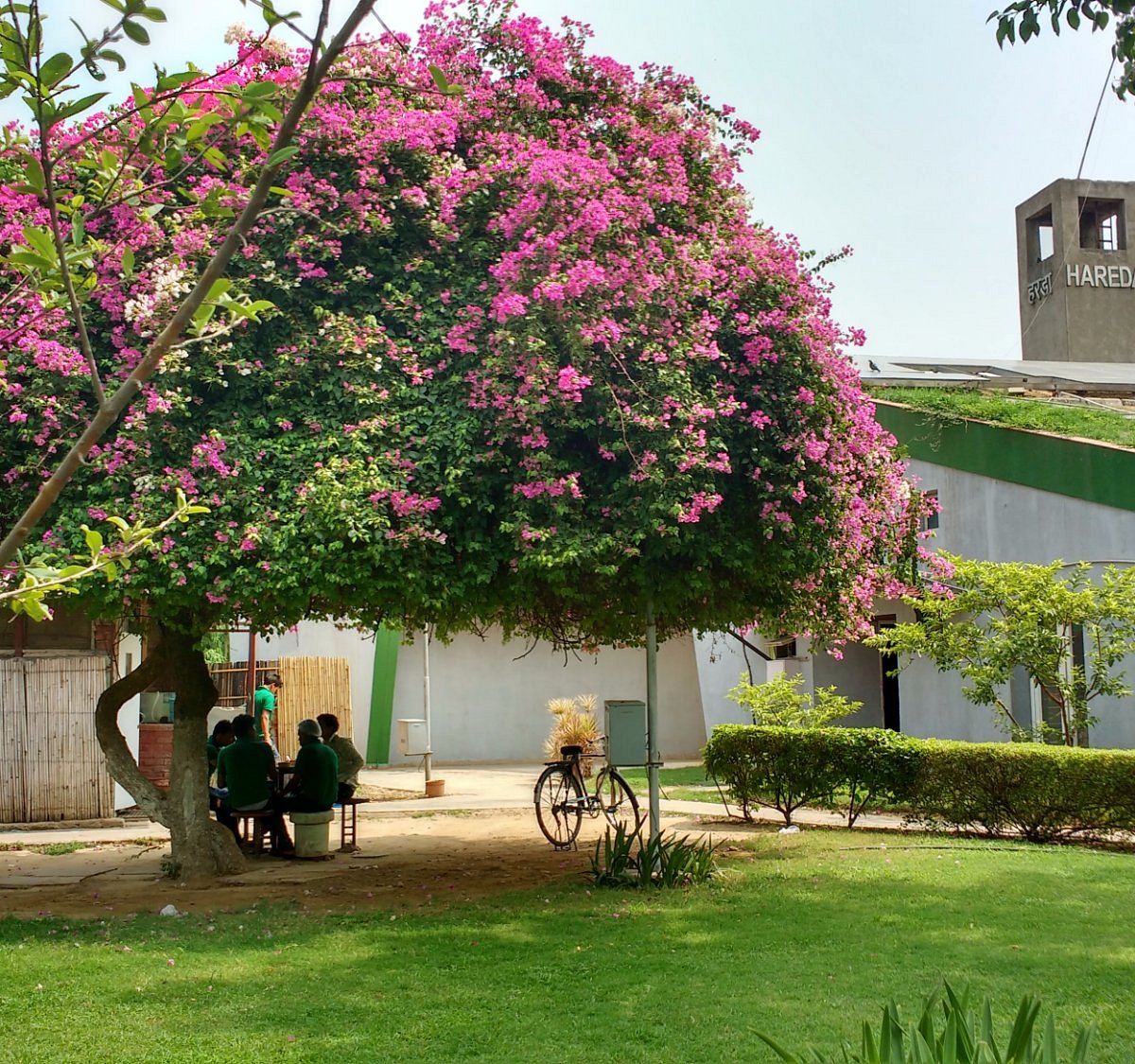 View Near The Entry Of